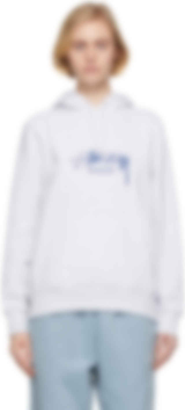 stussy grey hoodie