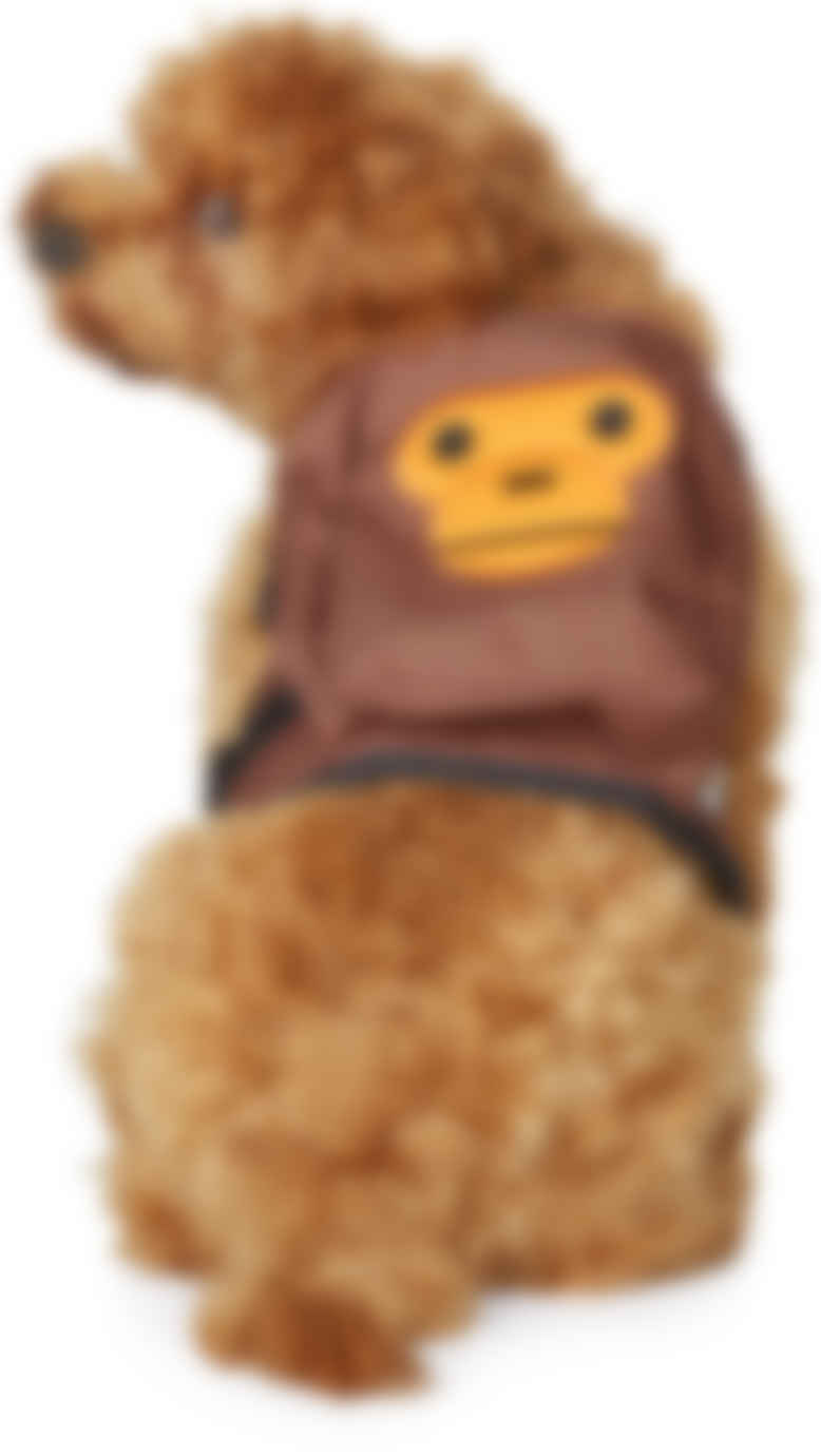 baby milo dog backpack