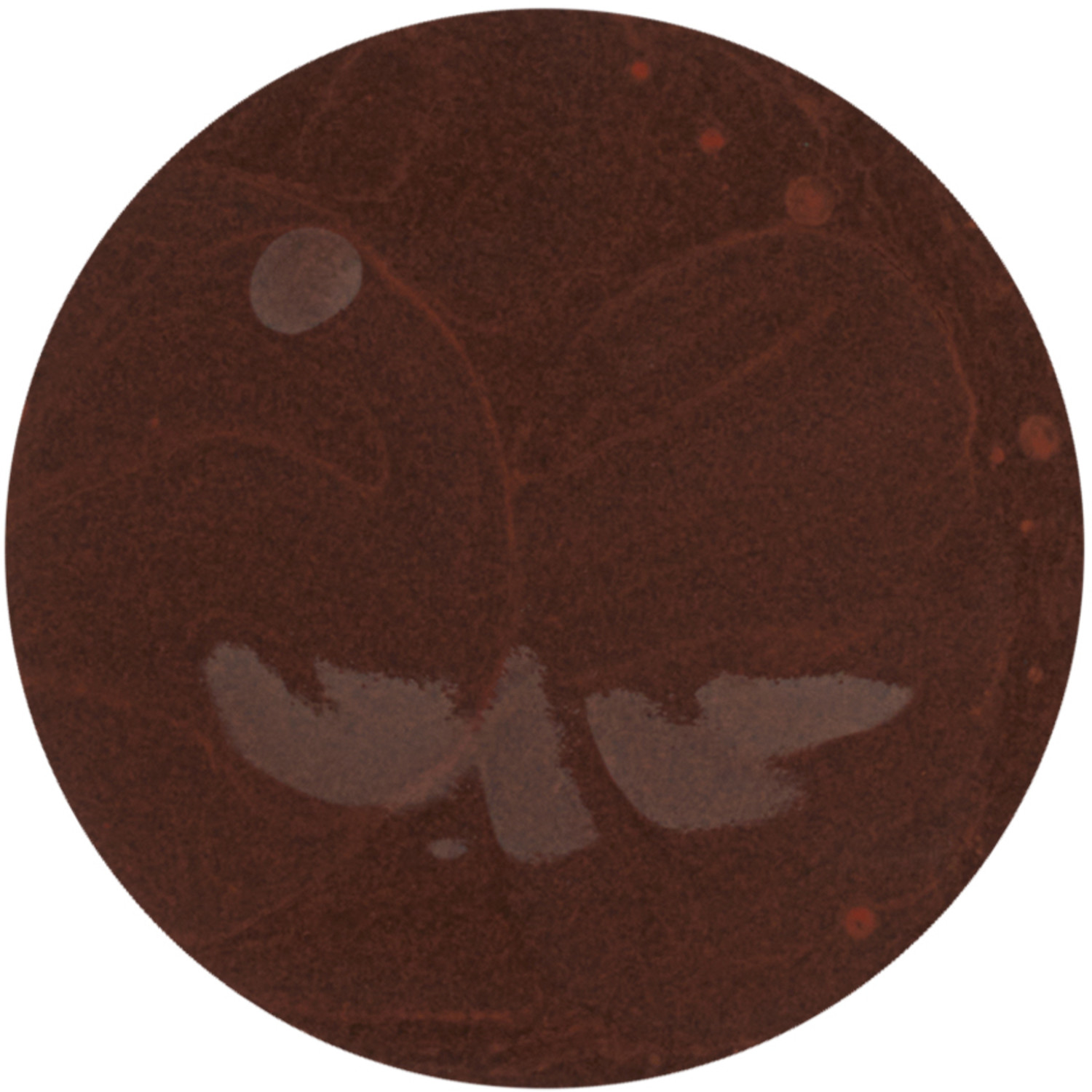  Vapour Beauty Soft Focus Foundation – 170s 