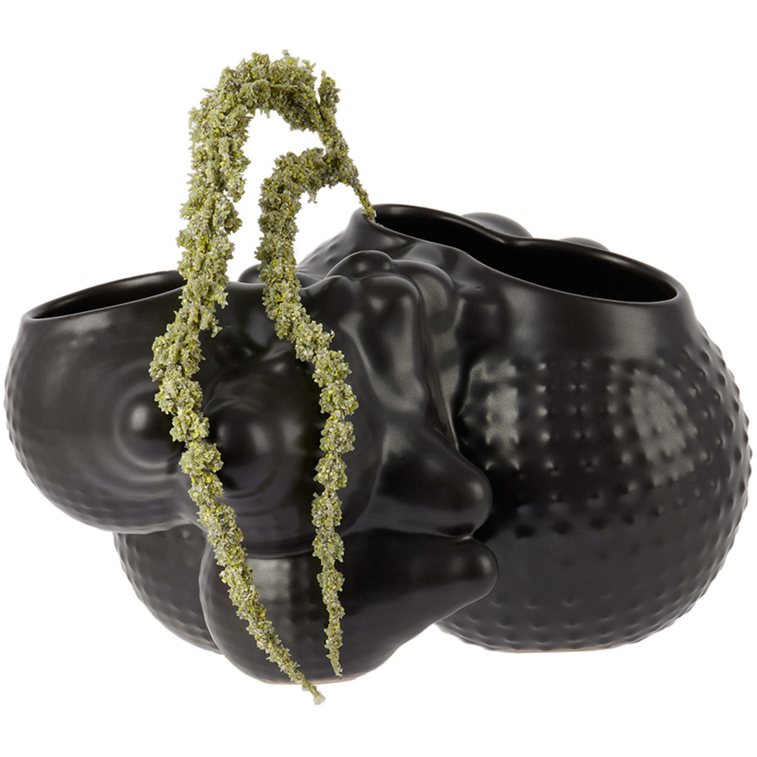  Forma Rosa Studio Black Bubbly Planter 