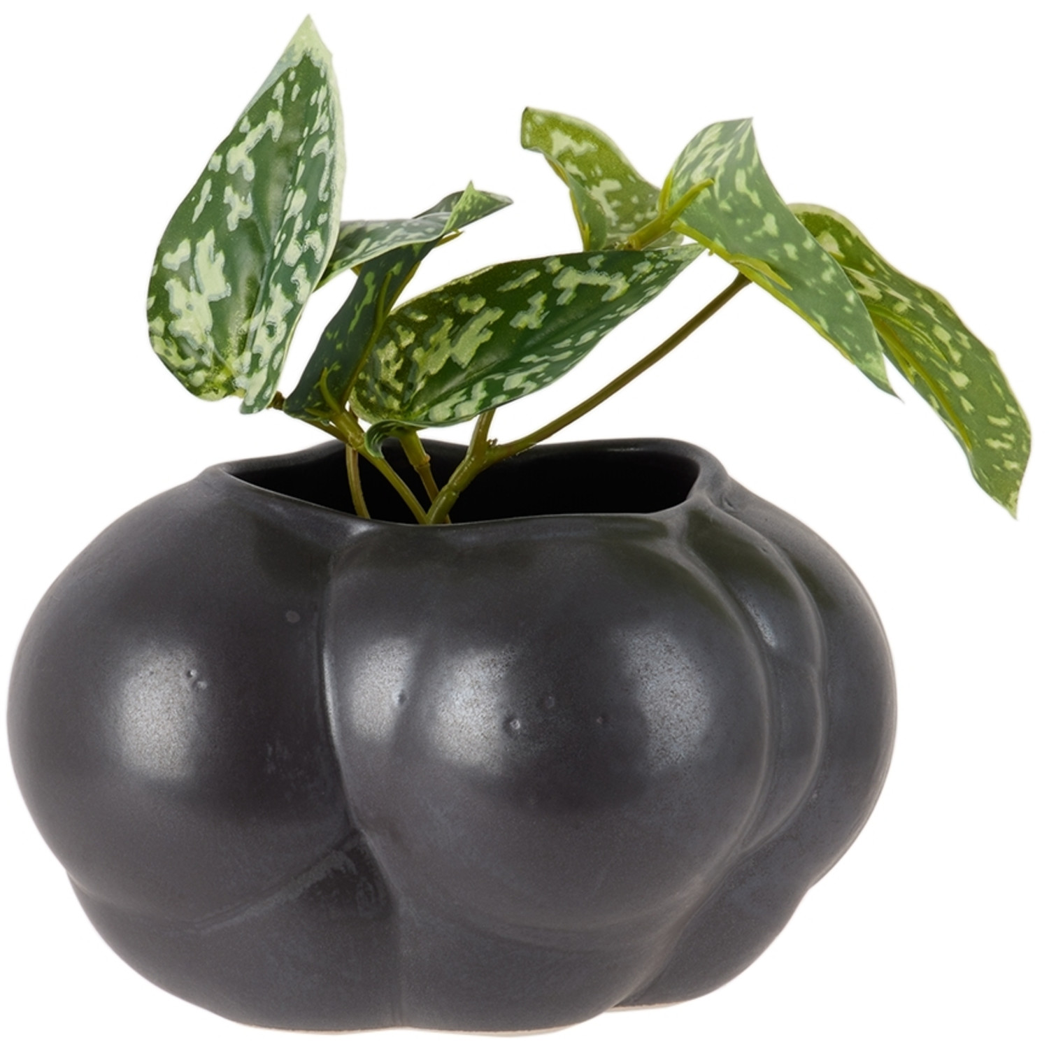  Forma Rosa Studio Gray Mini Botryoidal Planter 