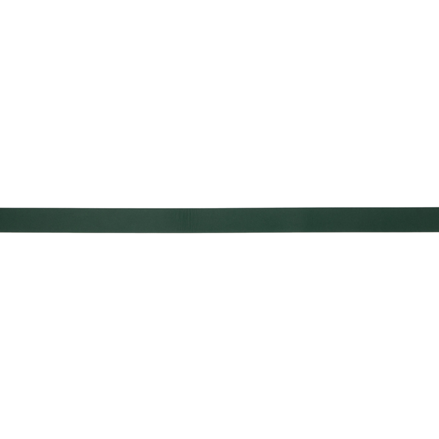  Bottega Veneta Green Knot Belt 