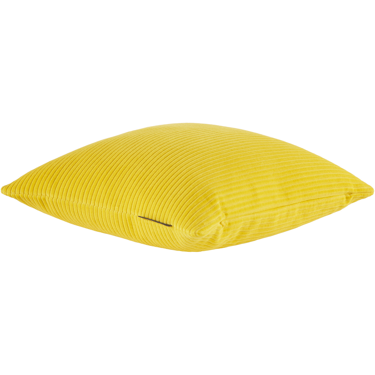  Kvadrat/raf Simons Yellow Phlox Cushion 