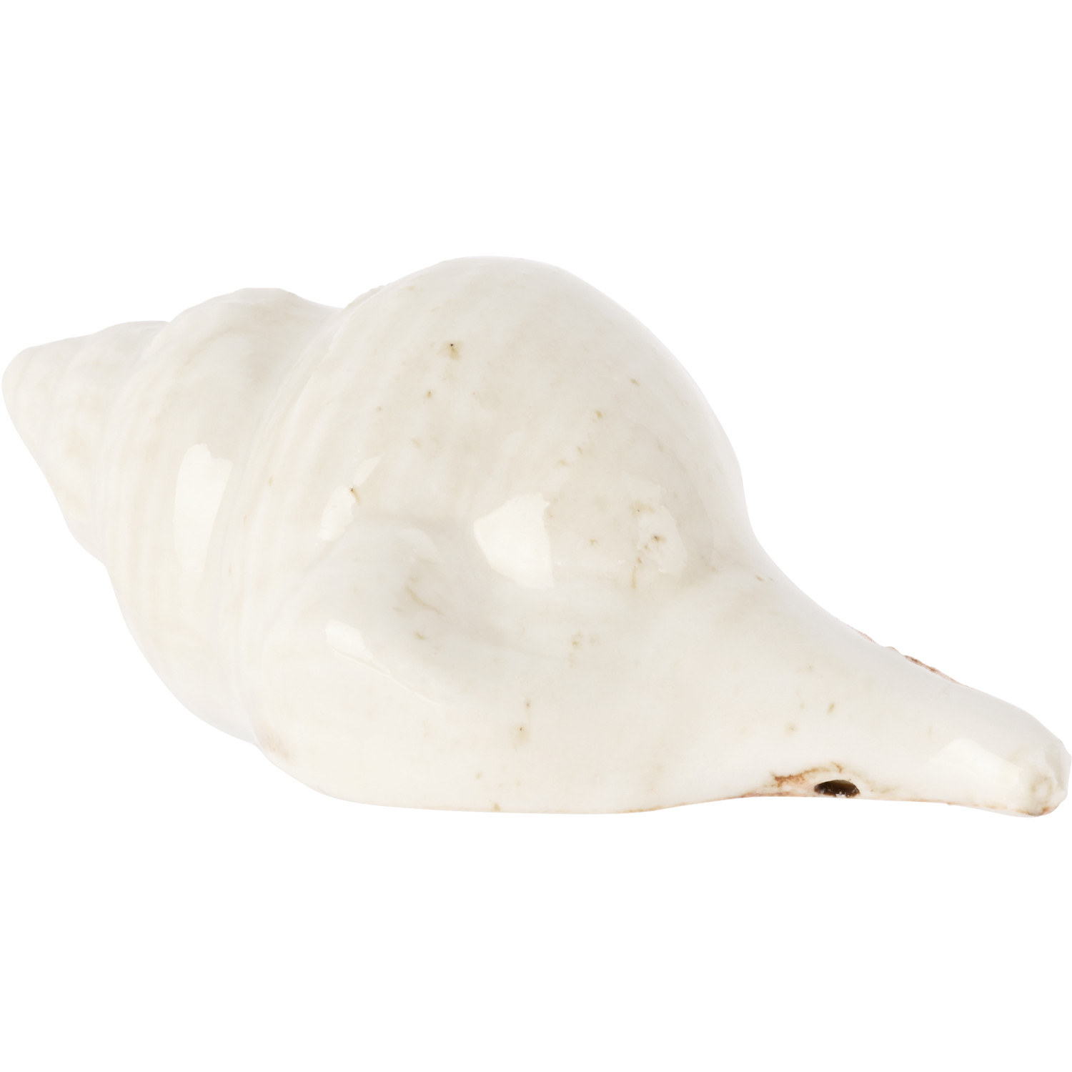  Christina Iversen Studio Off-white Shell Decoration 