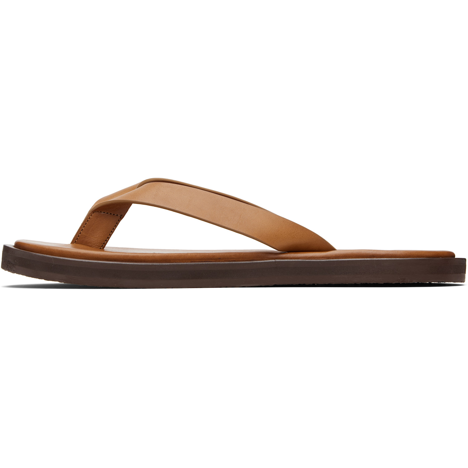  Studio Nicholson Tan Curren Flip-flops 
