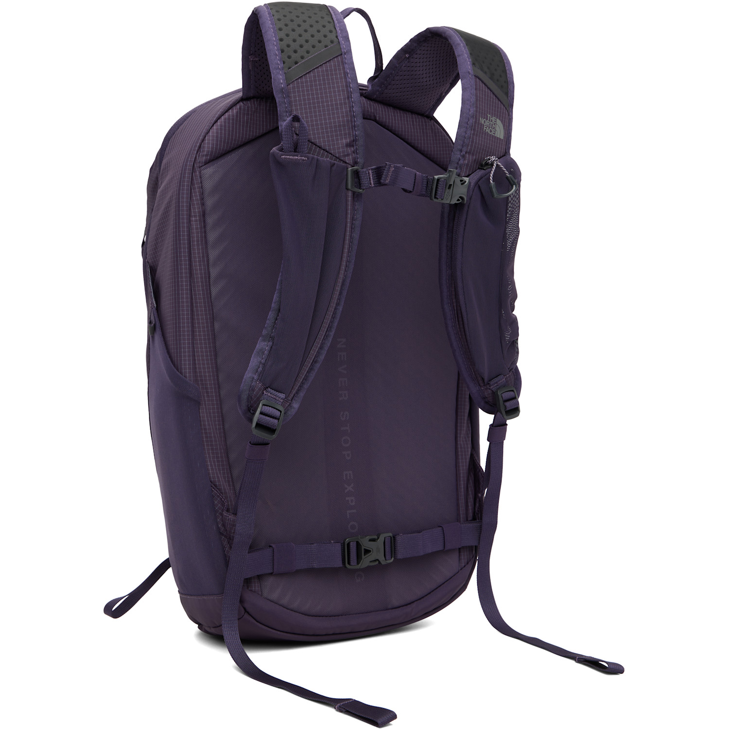  The North Face Purple Borealis Trail Backpack 