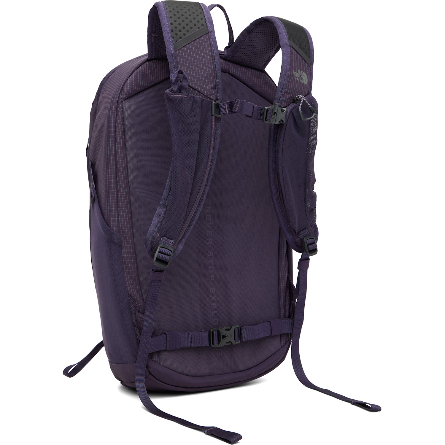  The North Face Purple Borealis Trail Backpack 