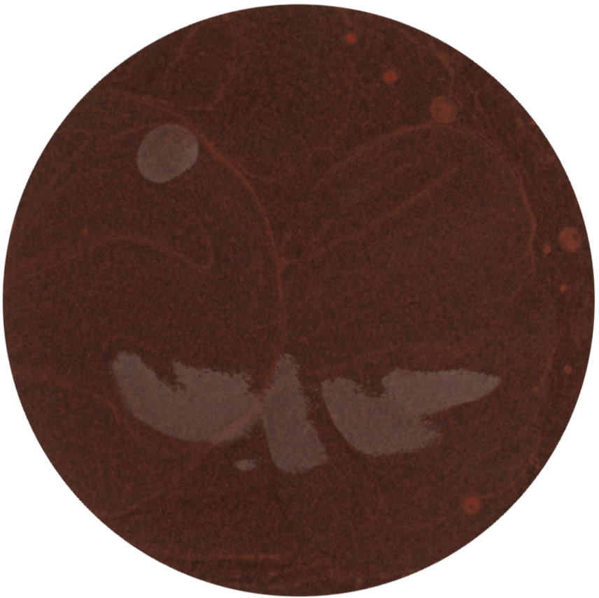 Vapour Beauty - Fond de teint Soft Focus – 170S