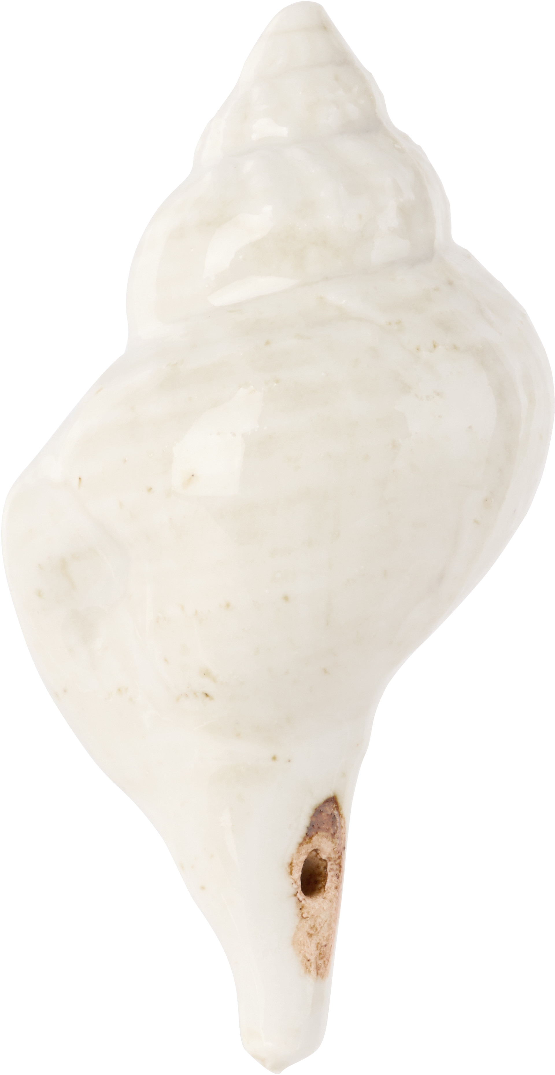 Christina Iversen Studio - Off-White Shell Decoration