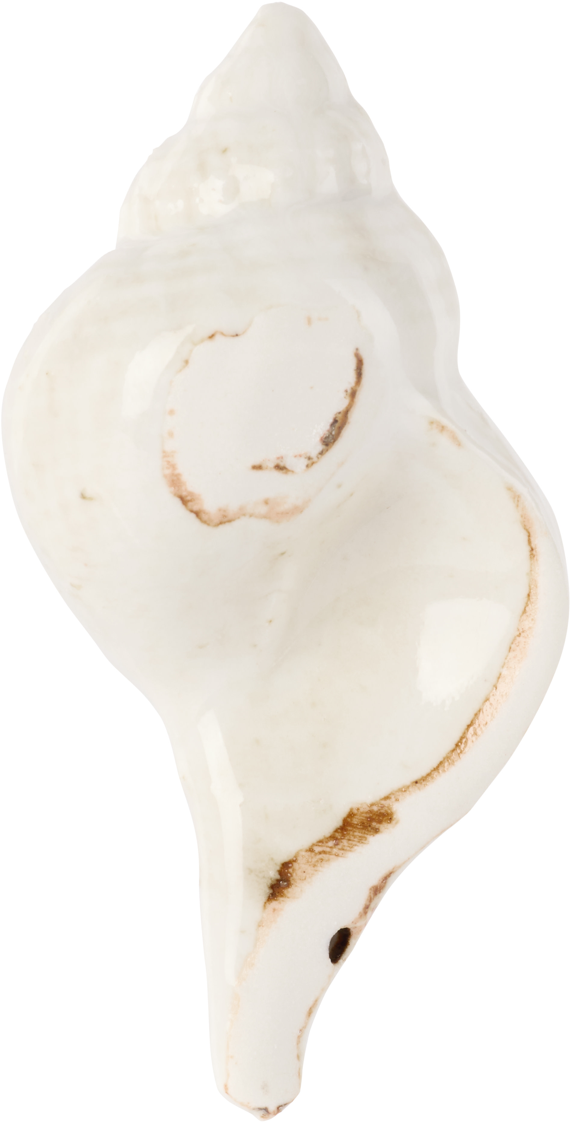 Christina Iversen Studio - Off-White Shell Decoration