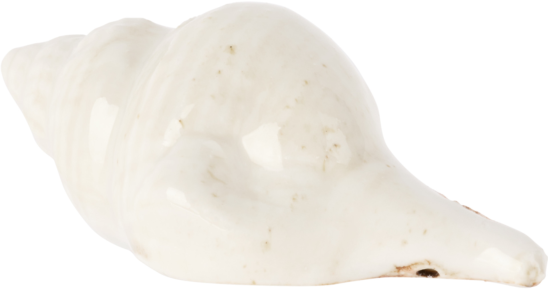 Christina Iversen Studio - Off-White Shell Decoration