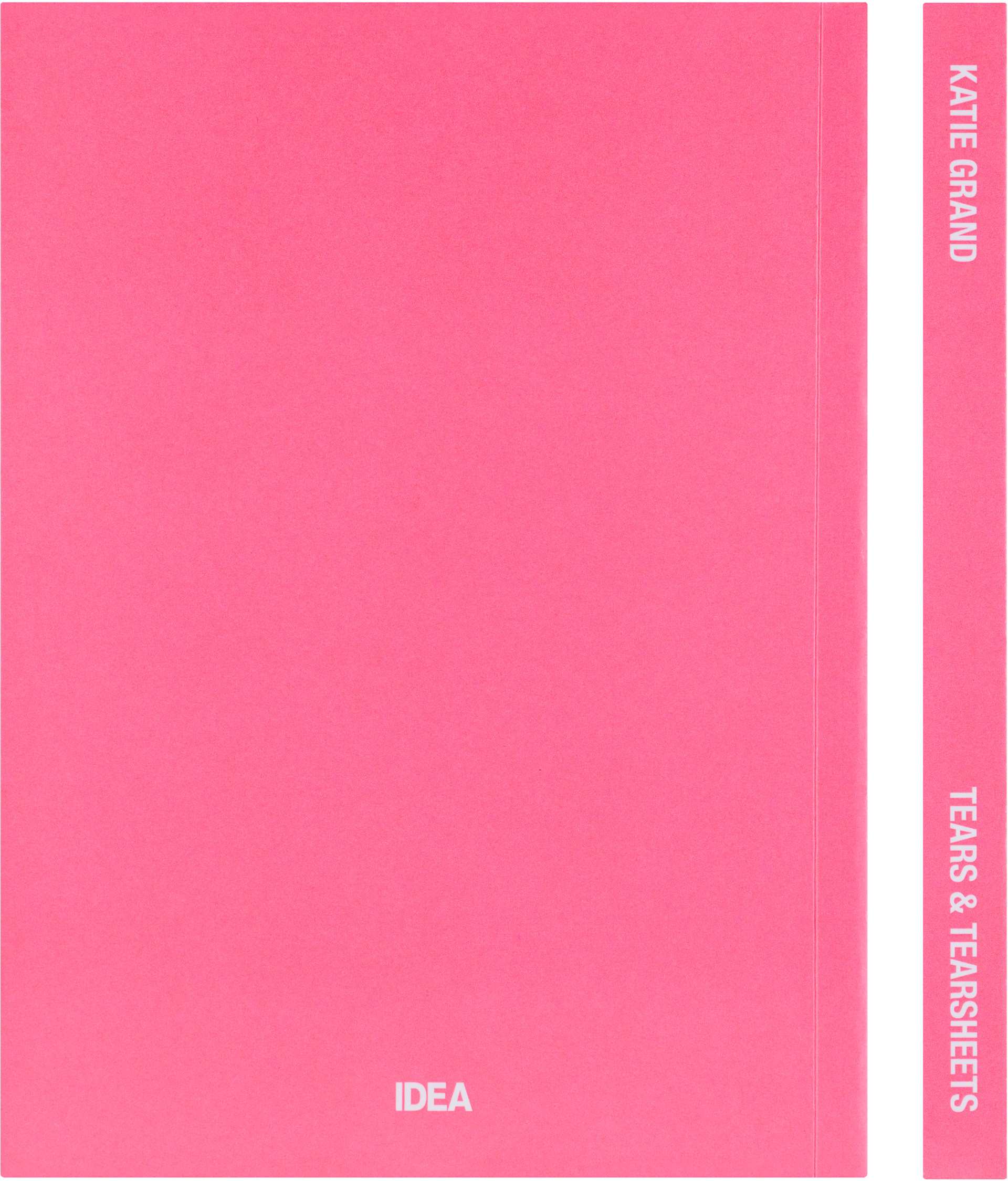 IDEA - Katie Grand Tears & Tearsheets