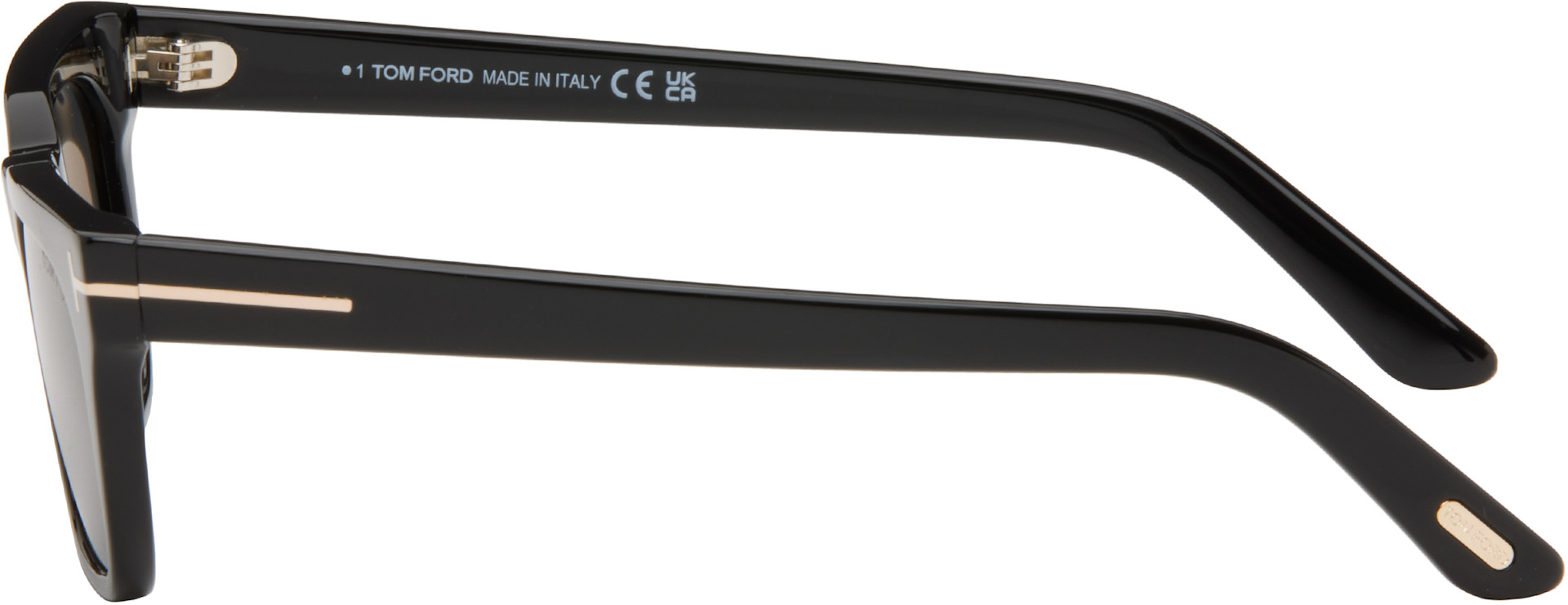 TOM FORD - Black Penn-02 Sunglasses