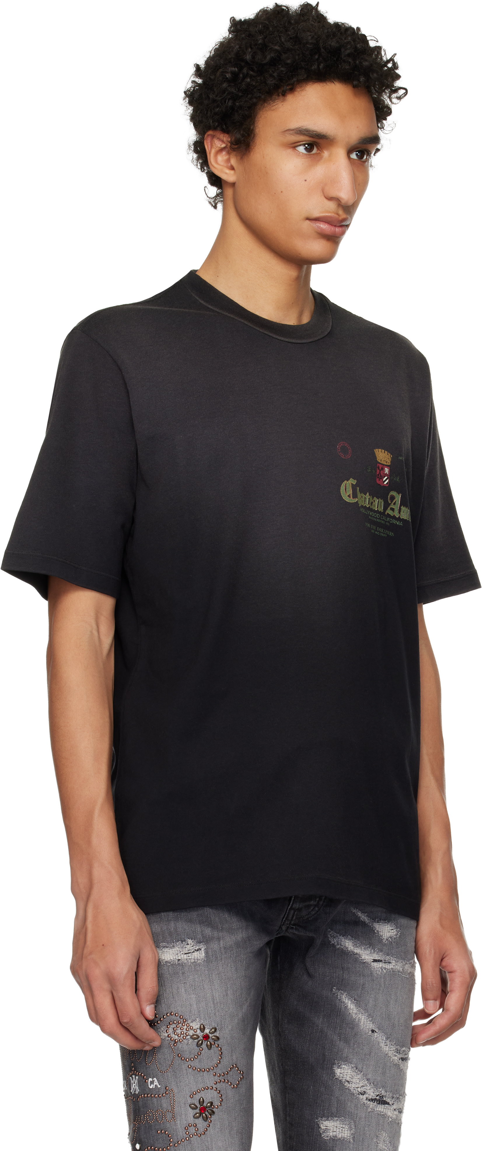 AMIRI: ブラック Chateau Crown Tシャツ | SSENSE 日本