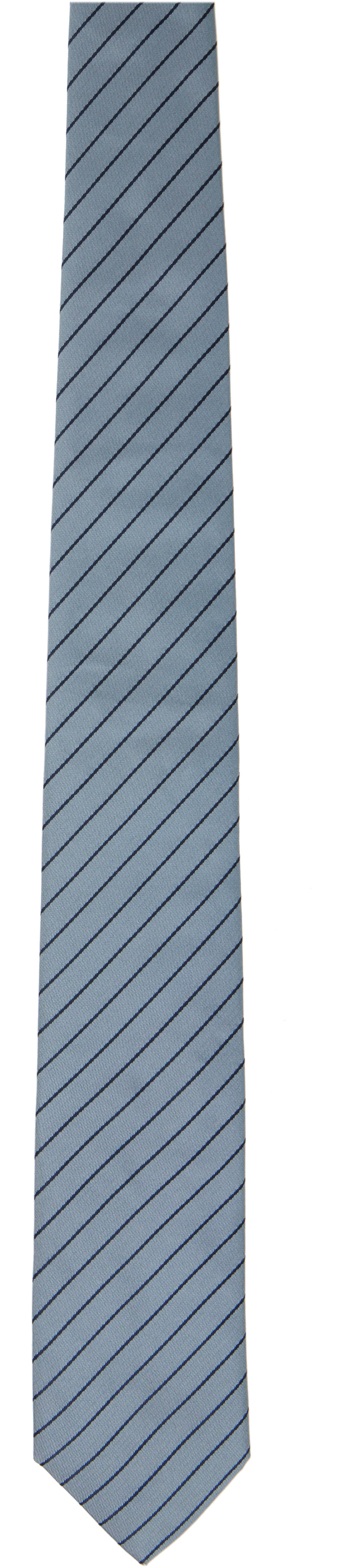 Carter Young - SSENSE Exclusive Blue Silk Tie