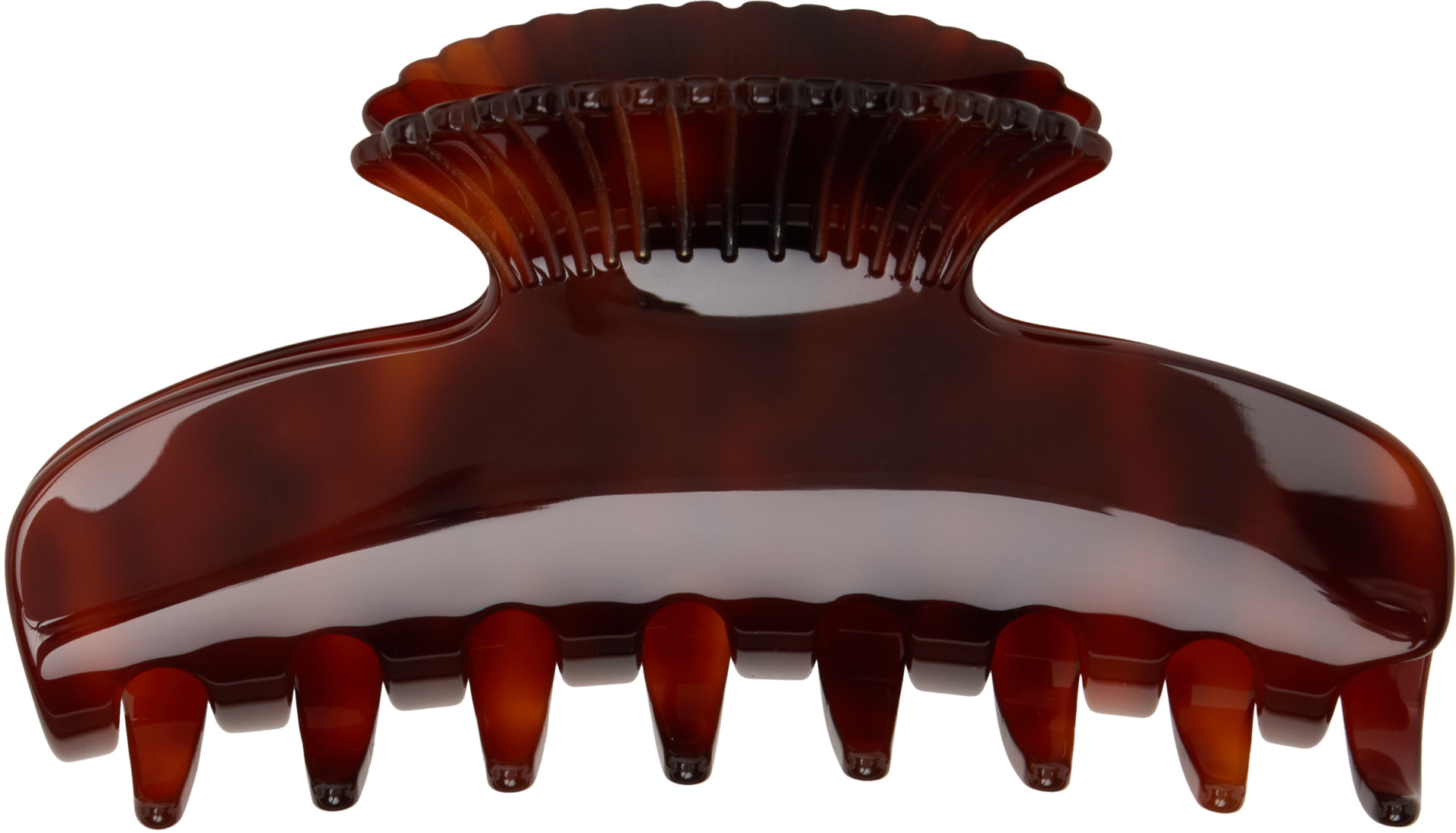 Sophie Buhai: Brown Fan Shell Claw Clip | SSENSE Spain